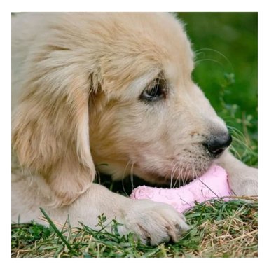 PACK4 ARTICULO HUESO PEQUENO EN ROSADO CLARO PARA MASCOTA CON MATERIAL FLEXIBLE - 5