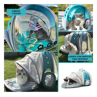 PACK4 MORRAL EXPANDIBLE PARA GATO EN CELESTE CON BURBUJA VISIBLE Y SOPORTE Y+REGALO STICKER - 2