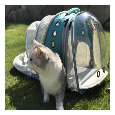 PACK4 MORRAL EXPANDIBLE PARA GATO EN CELESTE CON BURBUJA VISIBLE Y SOPORTE Y+REGALO STICKER - 3