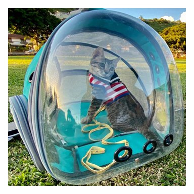 PACK4 MORRAL EXPANDIBLE PARA GATO EN CELESTE CON BURBUJA VISIBLE Y SOPORTE Y+REGALO STICKER - 5