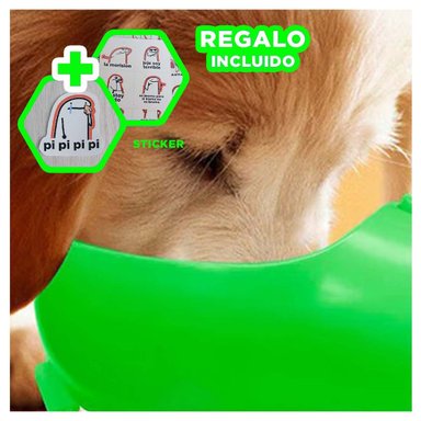 CONTENEDOR DE VIAJE 4 EN 1 VERDE GRANDE CON MUCHA GUIA PARA SU RUTINA Y+REGALO STICKER - 1