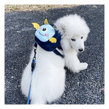 MOCHILA PEQUEÑA PARA MASCOTA COLOR AZUL DE MURCIELAGO DE MODELO FINO - 1