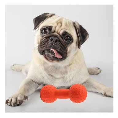 ELEMENTO MANCUERNA DE PUAS NARANJA PARA MASCOTA CON RELIEVE FIRME Y+PAPEL REGALO - 2