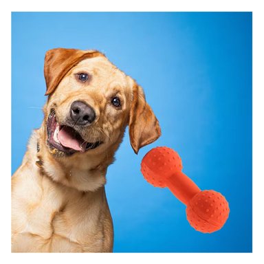 ELEMENTO MANCUERNA DE PUAS NARANJA PARA MASCOTA CON RELIEVE FIRME Y+PAPEL REGALO - 3