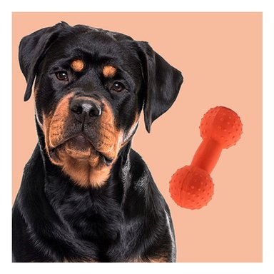 ELEMENTO MANCUERNA DE PUAS NARANJA PARA MASCOTA CON RELIEVE FIRME Y+PAPEL REGALO - 5