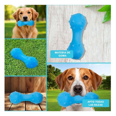 PACK12 ELEMENTO INTERACTIVO PARA PERRO CELESTE CON SUPERFICIE TEXTURIZADA Y+PAPEL REGALO - 2