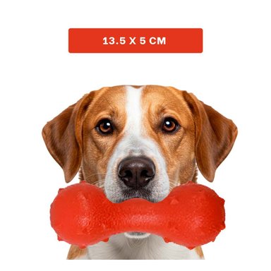 PACK4 ELEMENTO TEXTURIZADO PARA MASCOTA ROJO RESISTENTE AL JUEGO DIARIO - 4