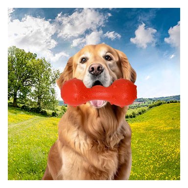 PACK4 ELEMENTO TEXTURIZADO PARA MASCOTA ROJO RESISTENTE AL JUEGO DIARIO - 5