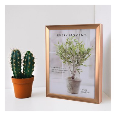 EXHIBIDOR PARA FOTOGRAFIAS QUE PERMITE ORGANIZAR RECUERDOS EN CASA CON ESTILO Y+LIGAS REGALO - 1