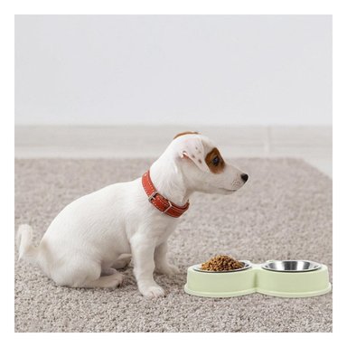 PACK12 JUEGO DOBLE DESMONTABLE RANA PARA PERRO Y GATO EN CASA Y+PAPEL REGALO - 3