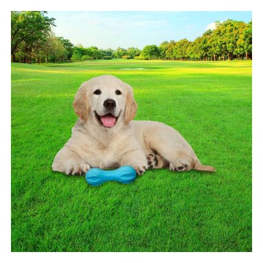 PACK2 PIEZA TEXTURIZADA MANCUERNA DE MINI RAYAS CELESTE PARA PERRO ACTIVO - 3