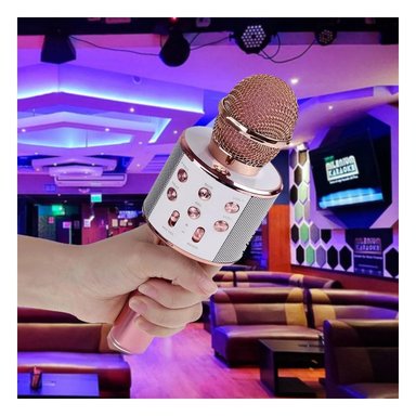 PACK4 DISPOSITIVO DE KARAOKE BLUETOOTH ORO ROSADO PARA CANTAR Y DIVERTIRSE - 3