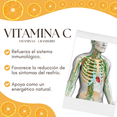 VITAMINA C 100  DINOA POTE DE 300G / ANTIOXIDANTE / SISTEMA INMUNOLOGÍCO - 2