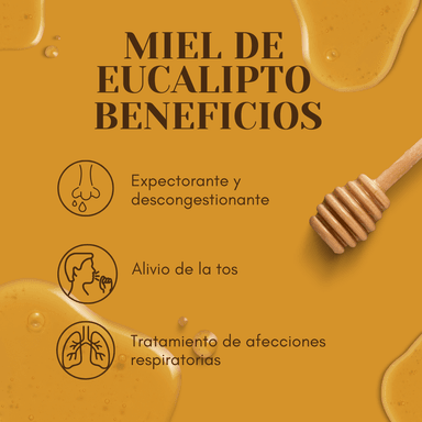 MIEL DE ABEJA EUCALIPTO TASKI 1000G /ANTIOXIDANTE / ENERGÍA/ RESPIRACIÓN - 2