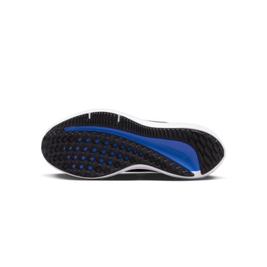 ZAPATILLAS RUNNING HOMBRE NIKE DV4022-005 AIR WINFLO 10