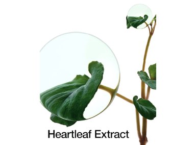 SERUM ANUA HEARTLEAF 80% MOISTURE SOOTHING AMPOULE 30 ML - 5