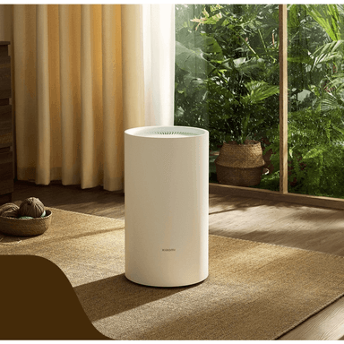 Deshumedecedor Inteligente Xiaomi  Lite UE - 6