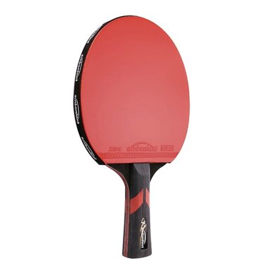 RAQUETA DE TENIS DE MESA PROFESIONAL, 6 ESTRELLAS - 4