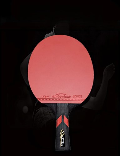RAQUETA DE TENIS DE MESA PROFESIONAL, 6 ESTRELLAS - 5