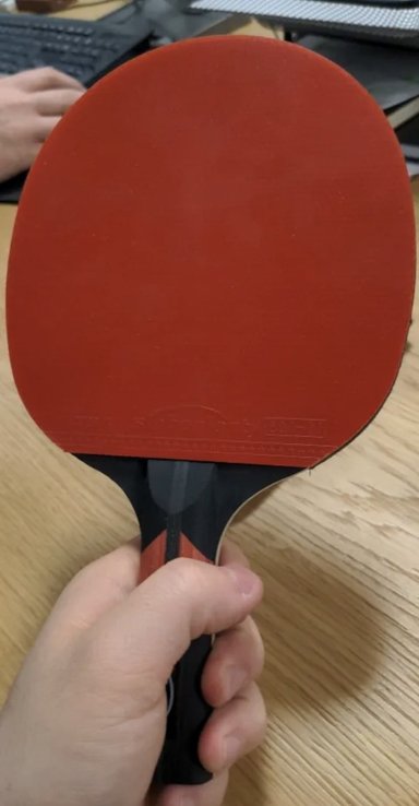 RAQUETA DE TENIS DE MESA PROFESIONAL, 6 ESTRELLAS - 6
