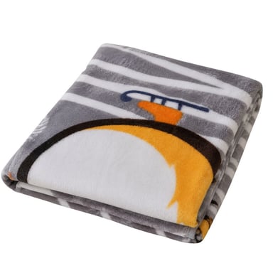 COLCHA MANTA PARA BEBÉ FELPA PLUSH  1,40 X 1METRO (NIÑA) - 4