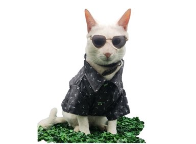 CAMISA PERRO Y GATO GRIST3 CALAVERA GRIS TALLA M