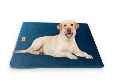 COLCHONETA ANTIFLUIDOS PARA MASCOTAS PERROS Y GATOS XL - AZUL