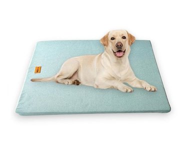 COLCHONETA ANTIFLUIDOS PARA MASCOTAS PERROS Y GATOS XL - VERDE AGUA