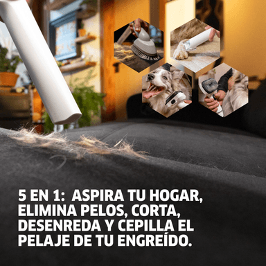 ASPIRADORA Y CORTAPELOS PARA MASCOTAS PET CLEAN 300W KARCHER - 6