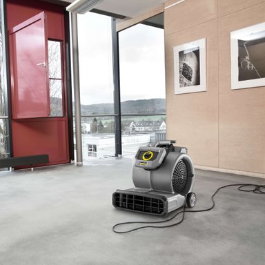 SOPLADORA SECADORA AB28 550W KARCHER - 7