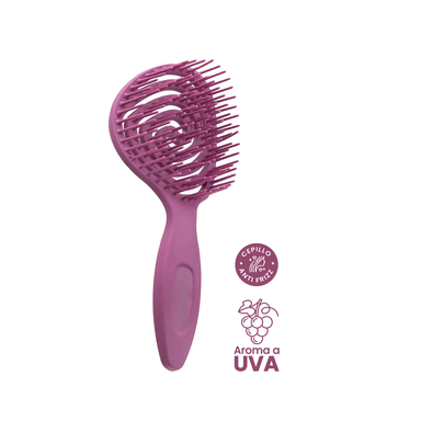 CEPILLO PIRULITO - MORADO