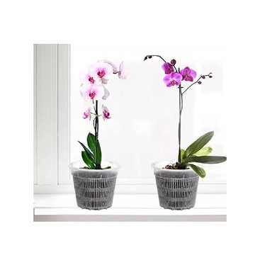 SET DE 3 MACETAS PARA ORQUÍDEAS DE 9.5 CM DE ANCHO