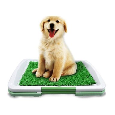 BAÑO PERROS ECOLÓGICO PORTÁTIL CÉSPED MEDIANO