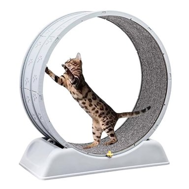 RUEDA GIRATORIA DE EJERCICIO PARA GATOS