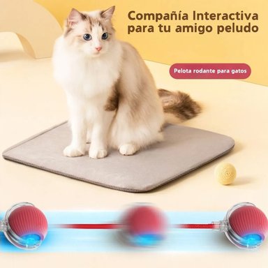 PELOTA INTERACTIVA CON SOGA, JUGUETE INTELIGENTE – ROJO - 6