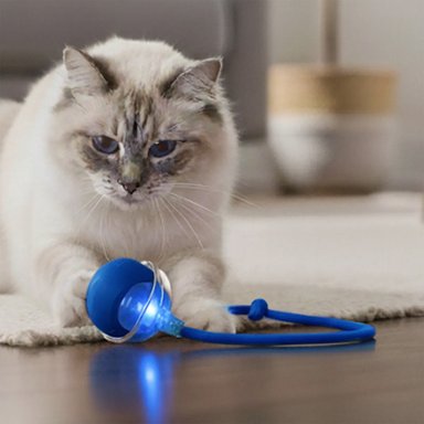 PELOTA INTERACTIVA CON CUERDA PARA GATOS Y PERROS – Azul