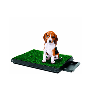 BAÑO PERROS PET POTTY PORTÁTIL TU MASCOTA 50 X 45 CM