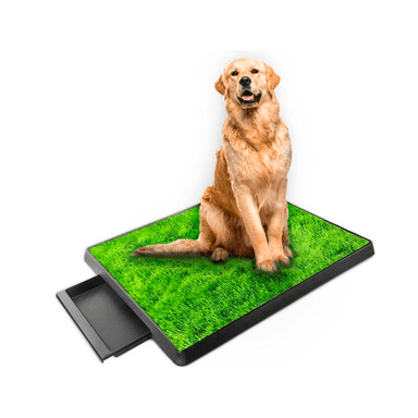 BAÑO PERROS PET POTTY PORTÁTIL TU MASCOTA 50 X 62.5 CM