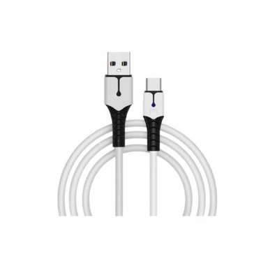 CABLE USB-C PARA MANDO PS5 - 1