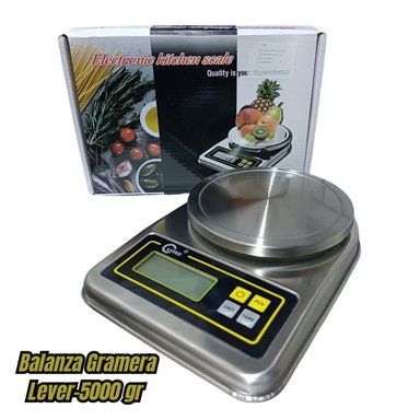 BALANZA S101 ACERO GRAMERA LEVER 5000 GR S1