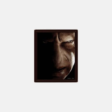 CUADRO 3D HARRY POTTER HARRY AND VOLDEMORT - 2