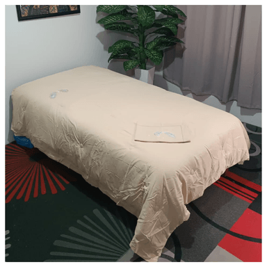 EDREDÓN PIEL DE SOYA DE 1.5 PLAZAS + 1 FUNDAS DE ALMOHADA