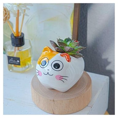 MACETAS DE CERAMICA CON FORMA DE GATITO - 5