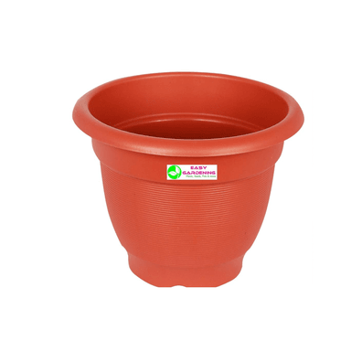 PACK DE 10 MACETERO 13CM X 10.5 CM X 7.5 CM