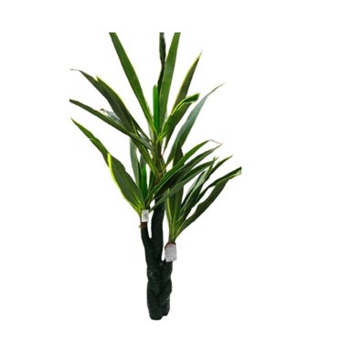 PLANTA  CON HOJAS DE PALMERA