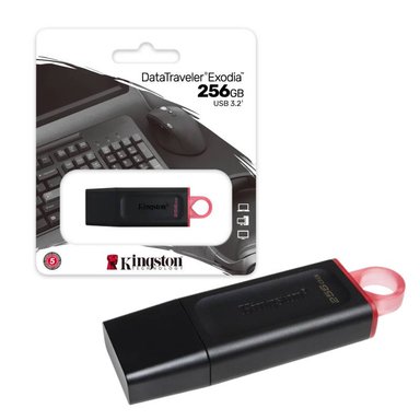 MEMORIA KINGSTON USB 256GB EXODIA - 1