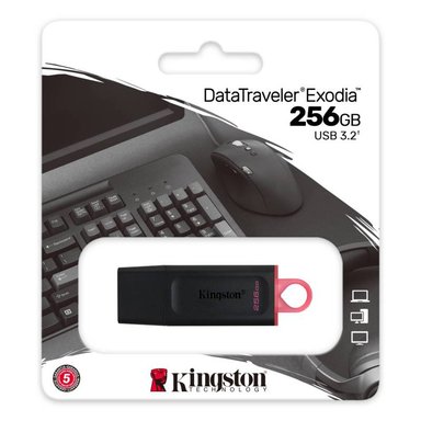 MEMORIA KINGSTON USB 256GB EXODIA - 2