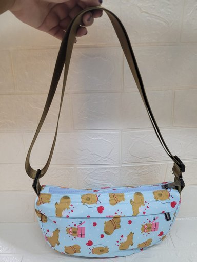 CARTERITA-MORRAL CAPIBARA CELESTE