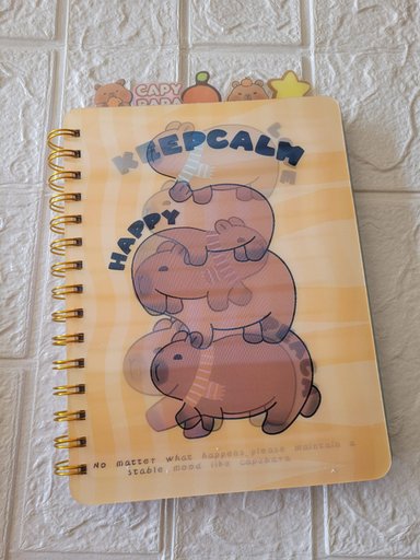 CUADERNO CAPIBARA ANILLADO PASTA HOLOGRAFICA