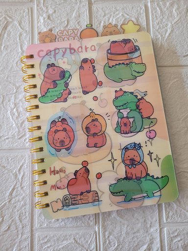CUADERNO CAPIBARA ANILLADO PASTA HOLOGRAFICA - 2